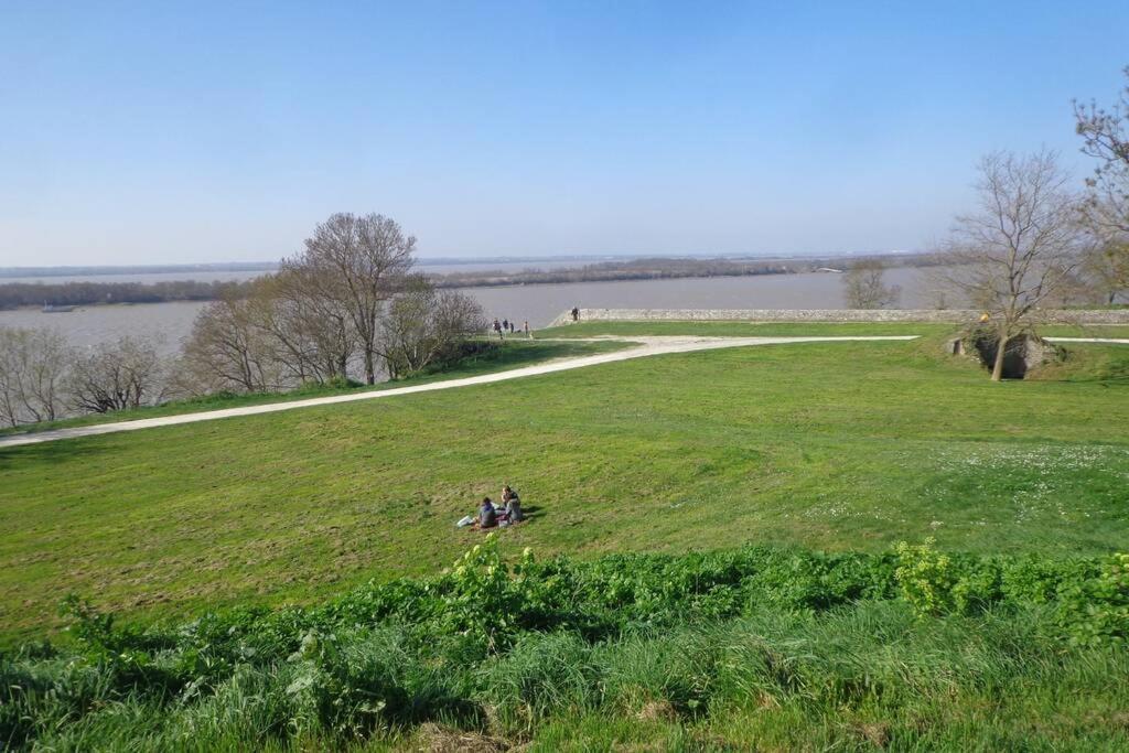 Grange La Bigarderie Vila Blaye-et-Sainte-Luce Exterior foto